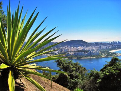 Bay guanabara bay stunning photo