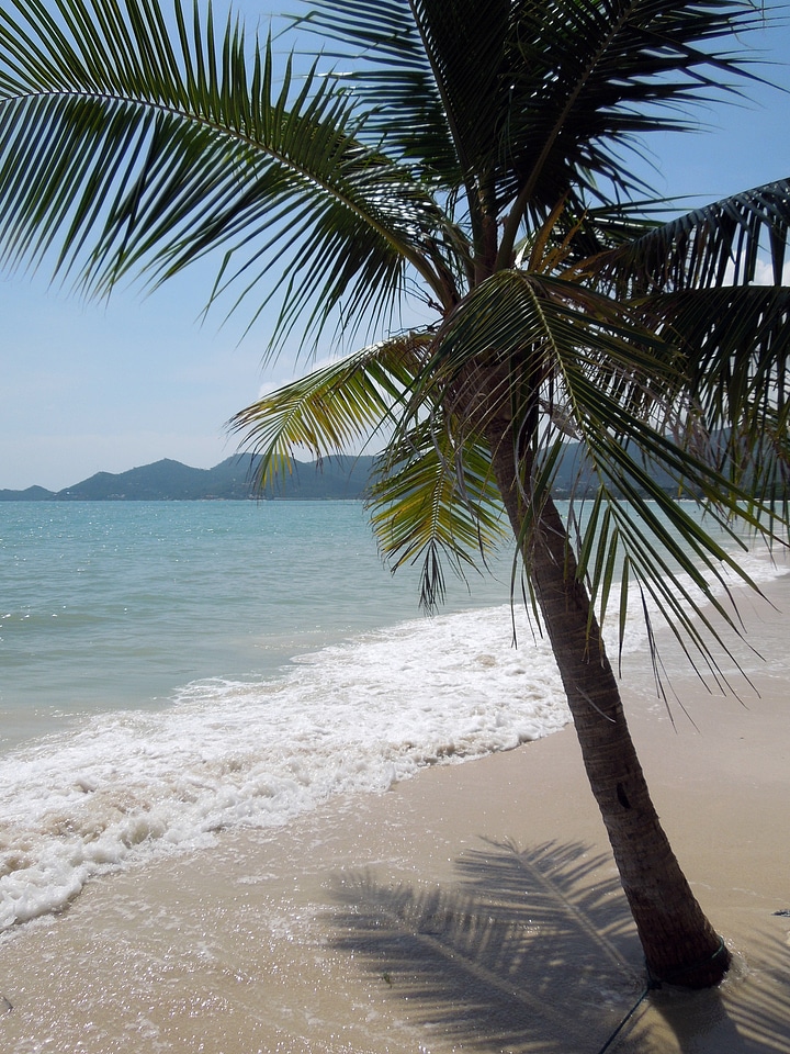 Beach vacations sea