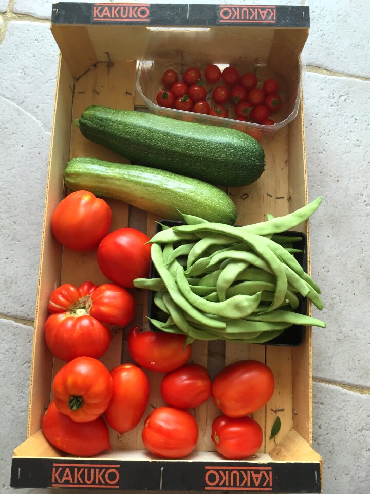 Tomatoes garden bio