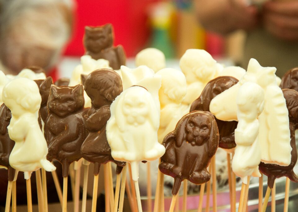 Confectionery sweet palette of chocolate