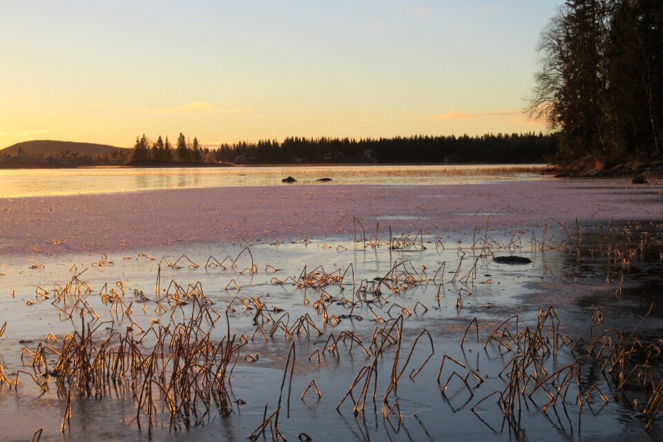 Norrbotten snow sunset