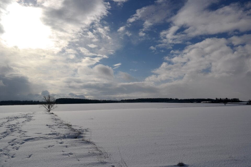 White backlighting nature