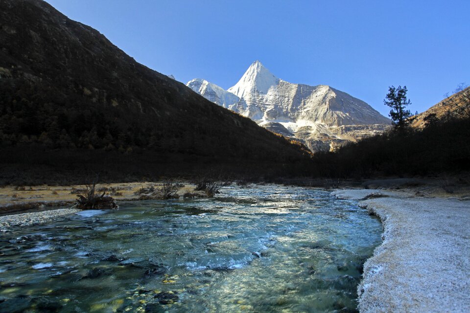 Tibetan inagi yang maiyong