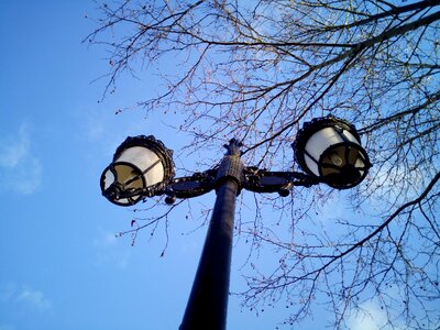 Branches park lamp
