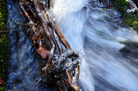 Driftwood ice river photo