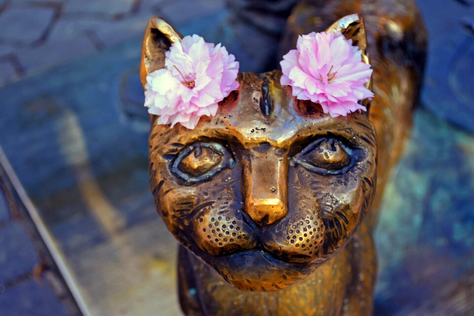 Ukraine flowers bronze