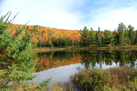 Camping nature autumn landscape