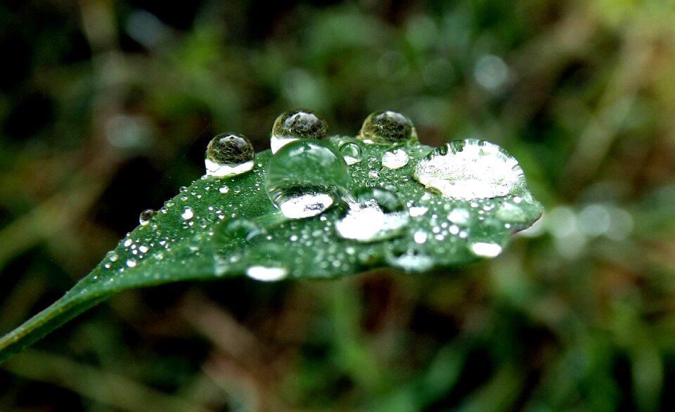 Green morning water