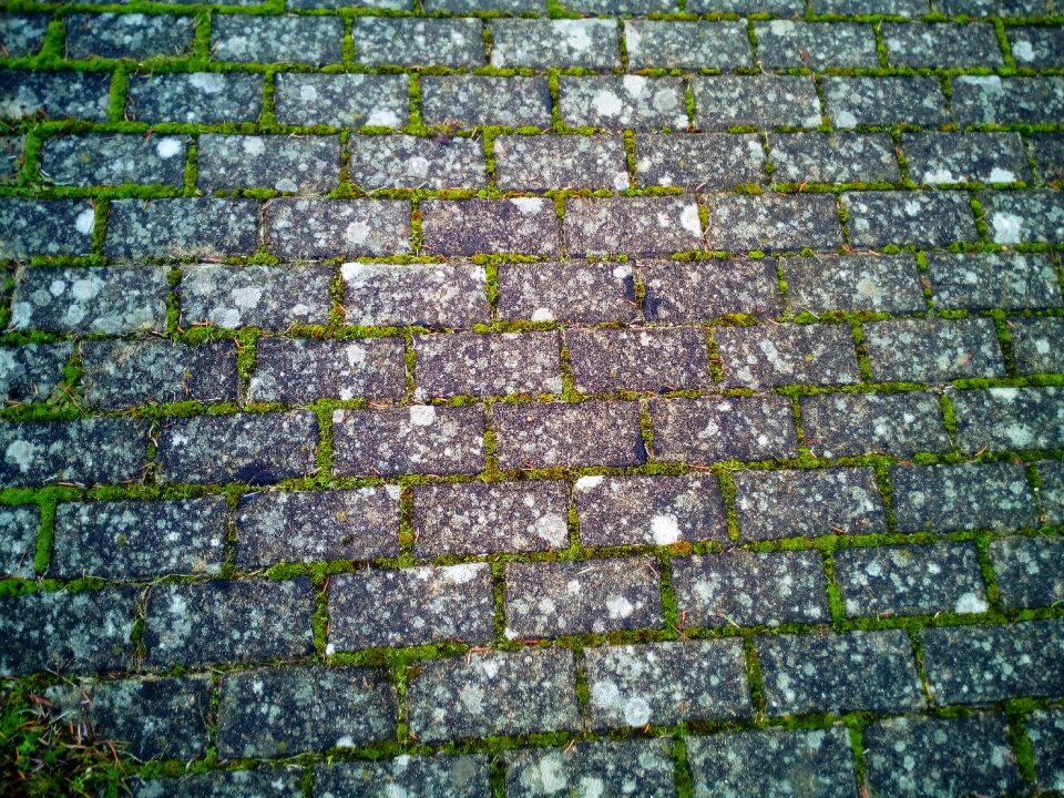Street empedrado soil