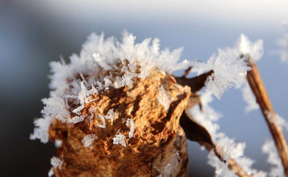 Winter magic snow ice