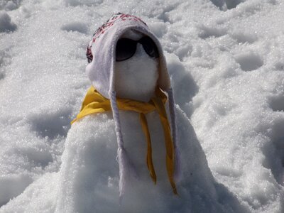 Snow winter white winter