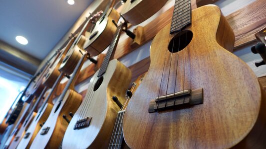 Hawaii strings hobby