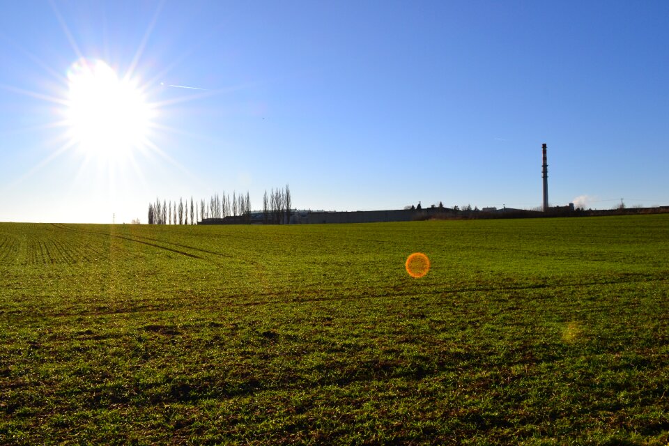 Landscape grass sky