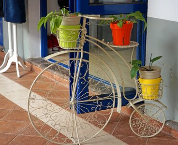 Decoration nostalgia plant