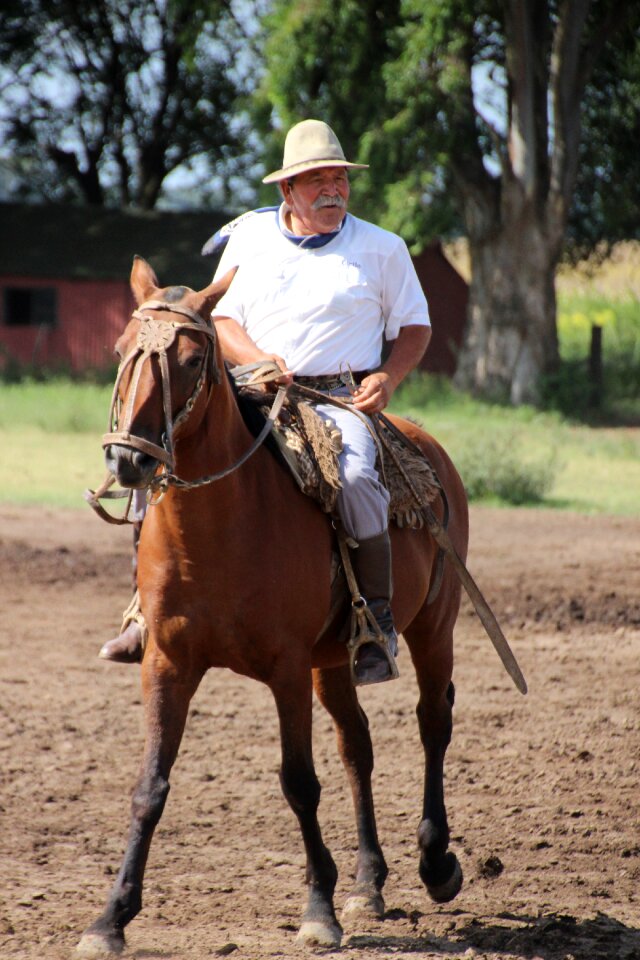 Argentina gaucho