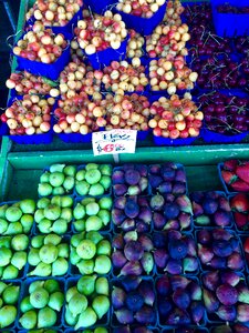 Organic shopping produce photo