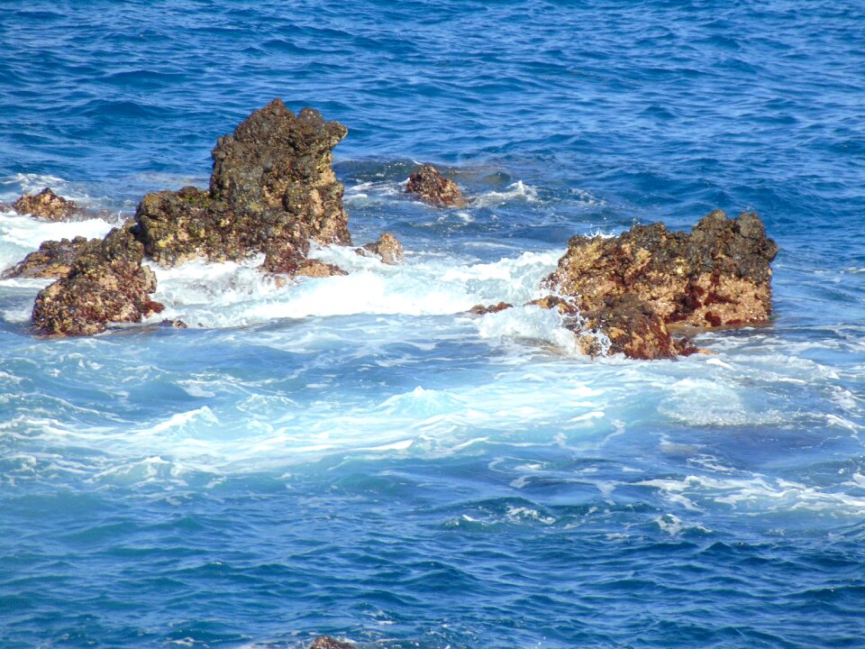 Surf wave vacations