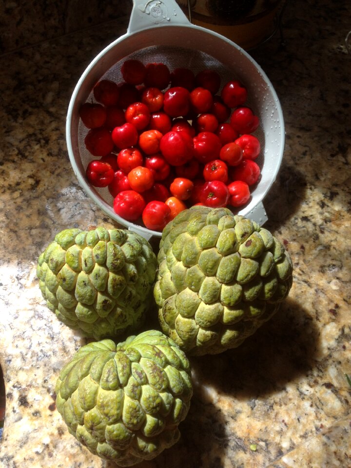 Cone acerola fruit