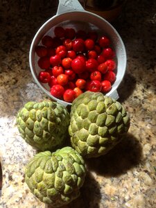 Cone acerola fruit