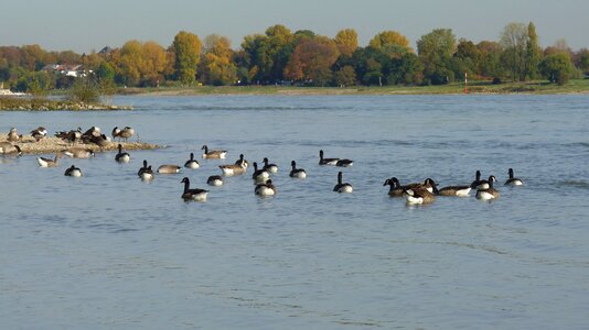 Landscape düsseldorf water photo