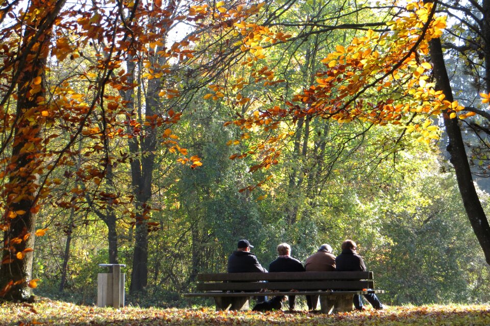 Munich autumn english garden
