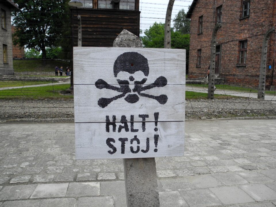 Stop headstand halt