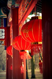 Chinese lantern bower culture photo