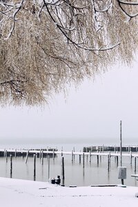 Winter landscape frozen