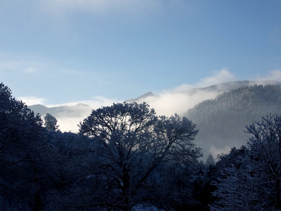 Cévennes france fog photo