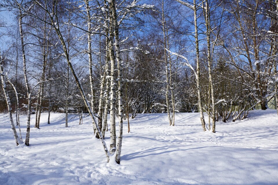 Forest silent tuttlingen