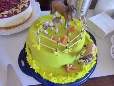 Horse on cake cake eat