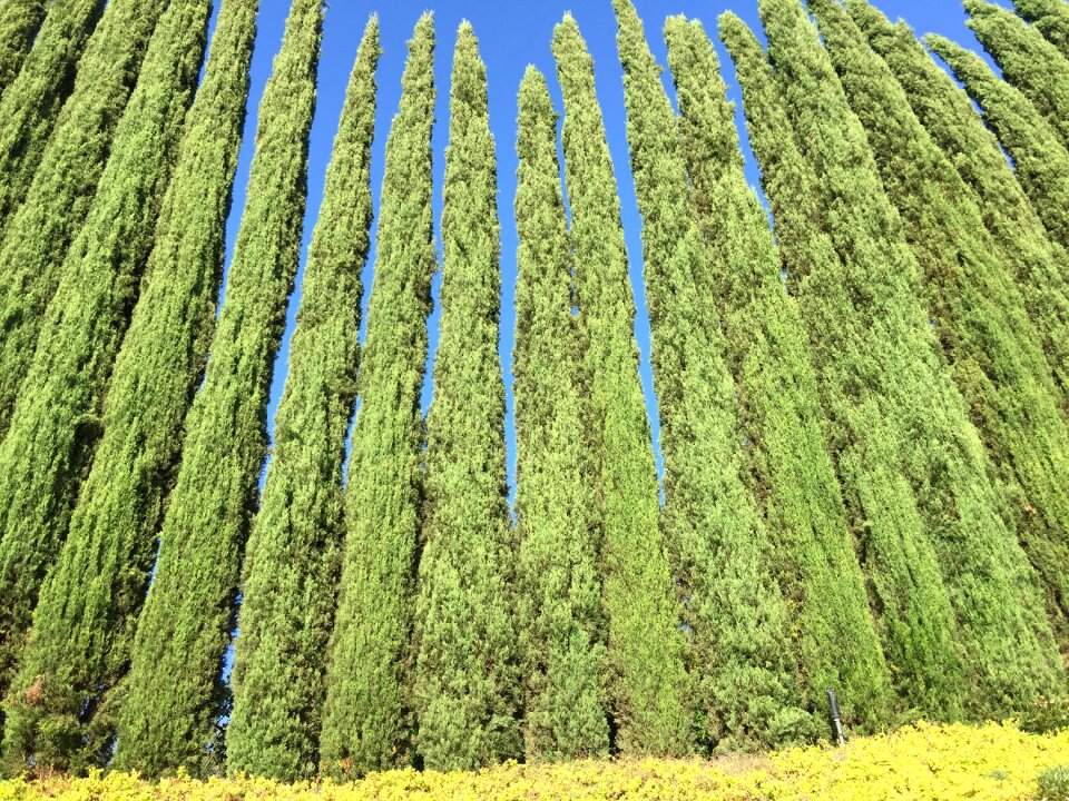 Nature environmental