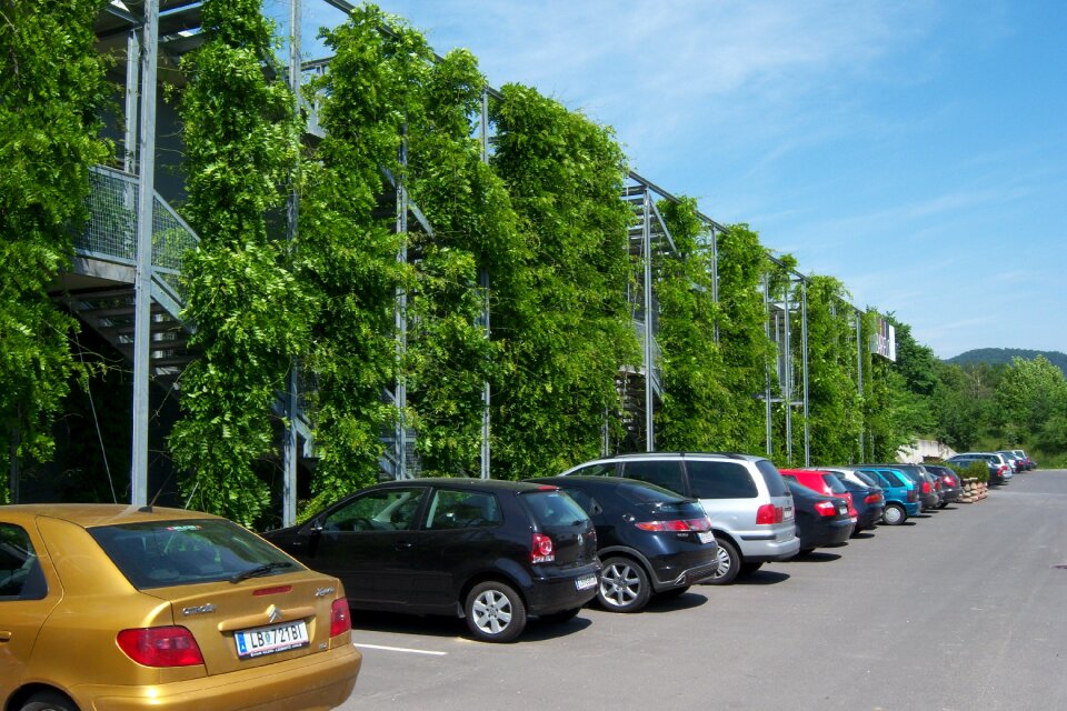 Green facade house facade climber plant