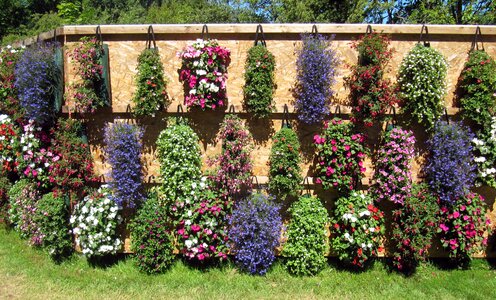 Garden design blütenmeer decorative photo