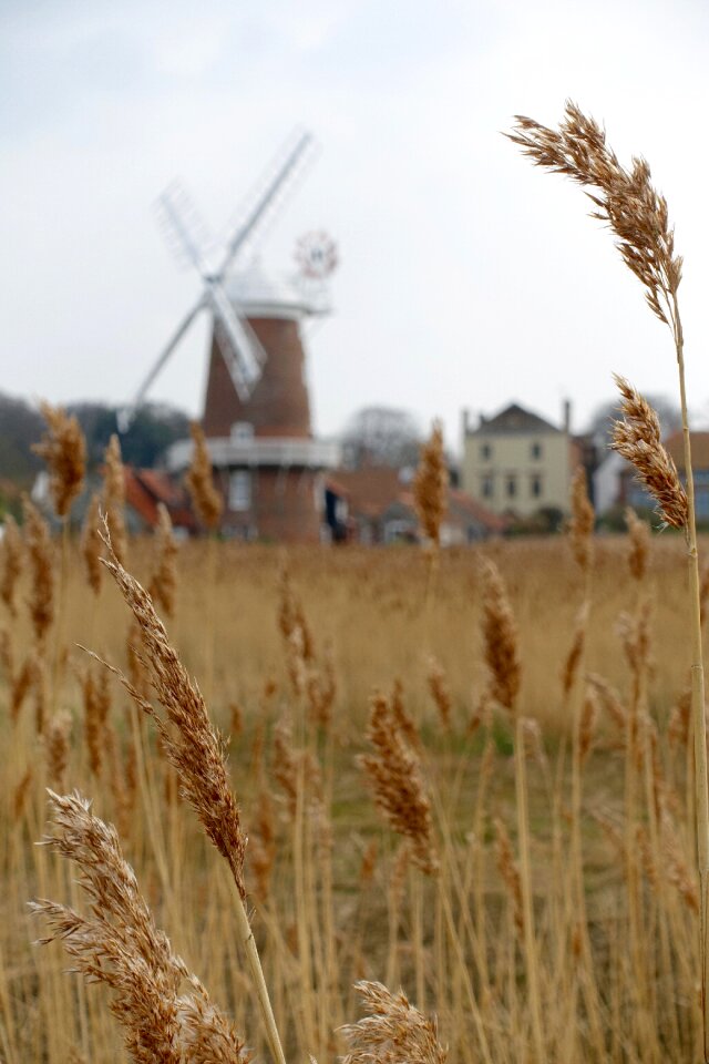 Farming straw wheat field