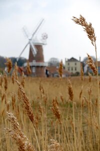 Farming straw wheat field photo