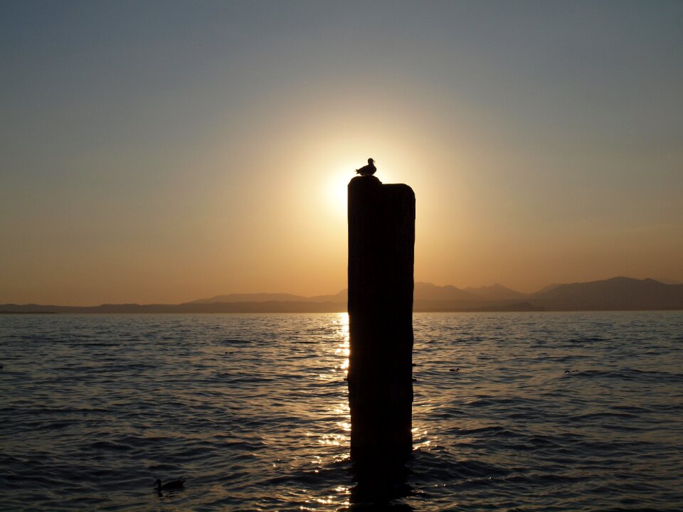 Sea croatia silhouette