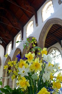 Daffodils religion church