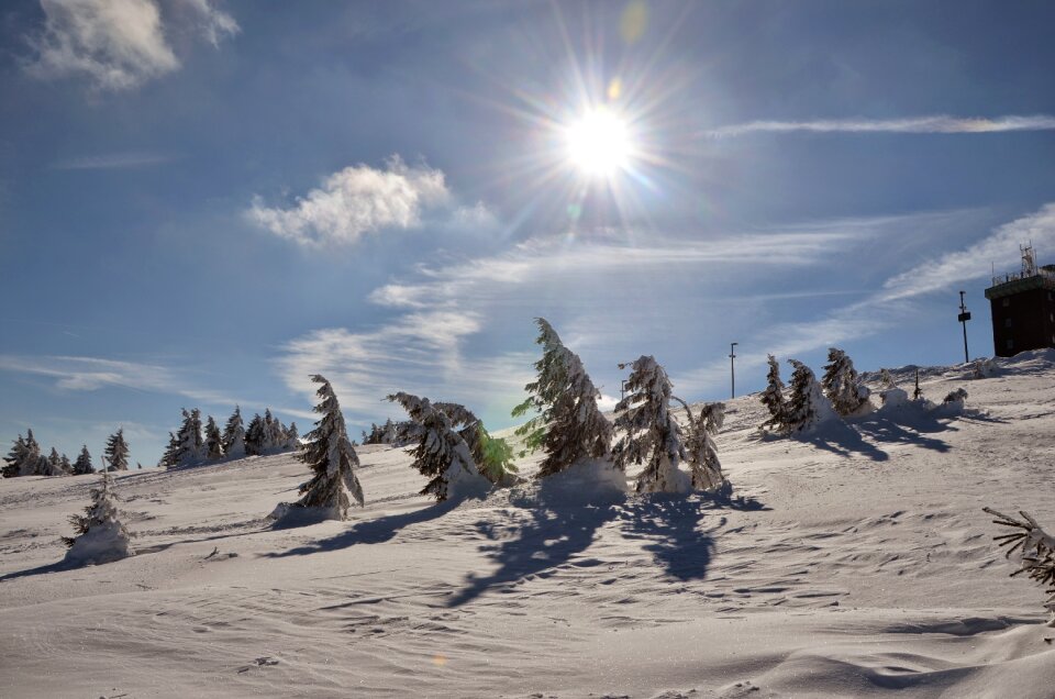 Nature frost backlighting