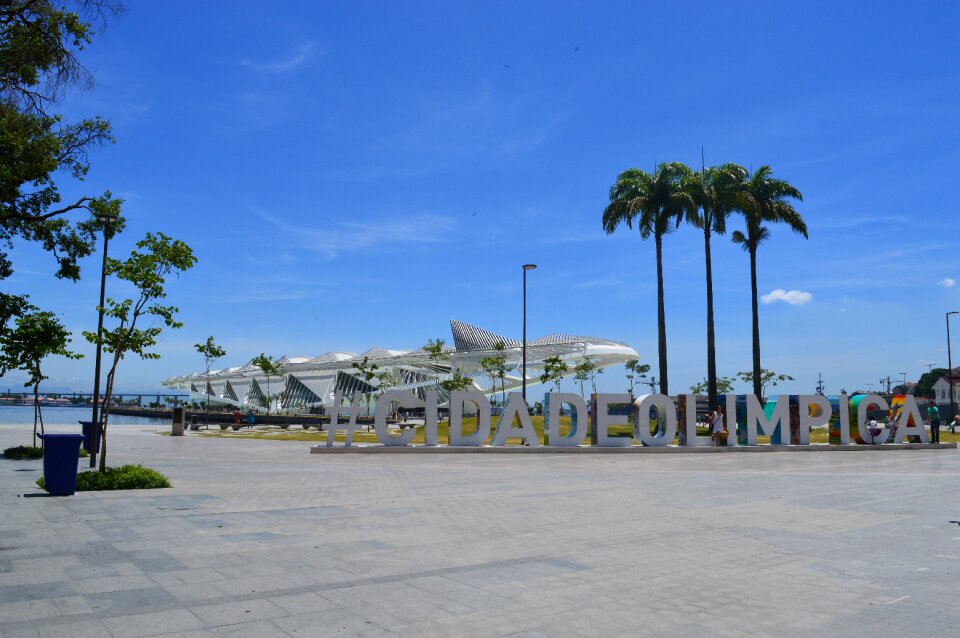 Wonderful city coconut tree square