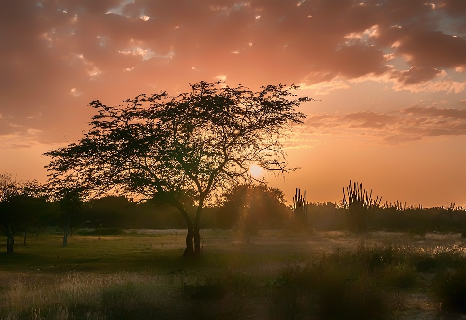 Landscape scenic tropics