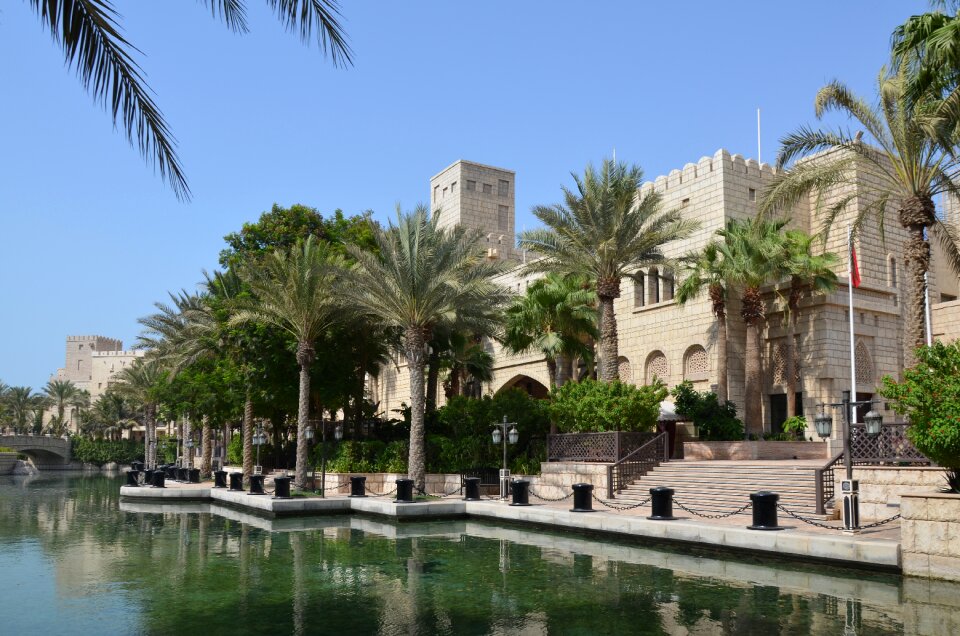 City vacations palm trees