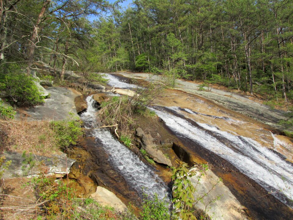 Roanoke river water trees