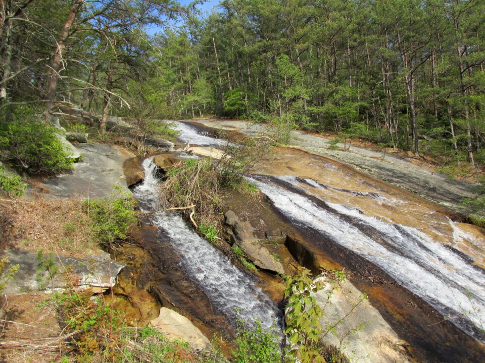 Roanoke river water trees photo