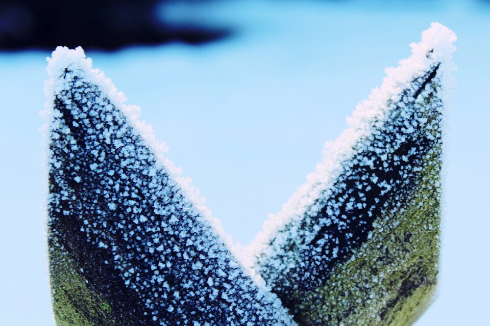 Close up winter cold