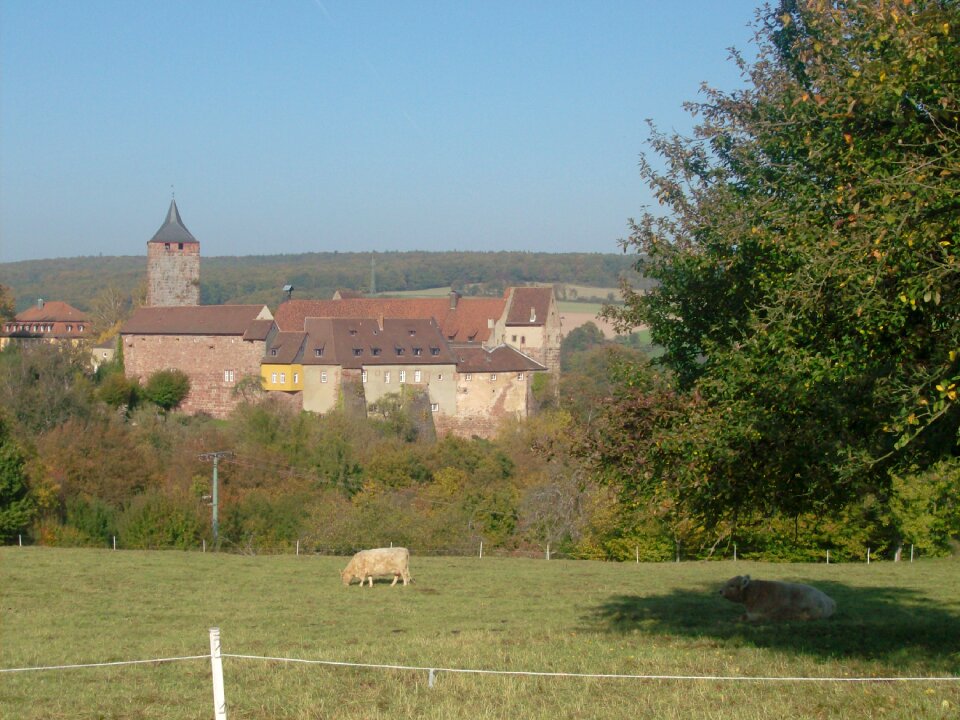 Nature landscape view