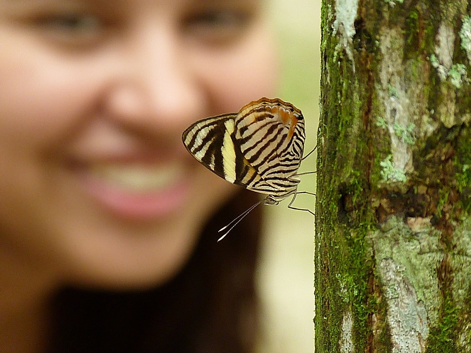 Woman insect nature