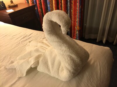Hotel brown hotel