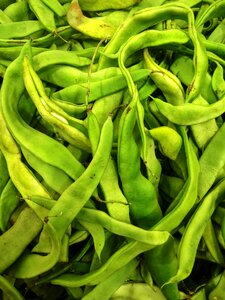 Food freshness free image