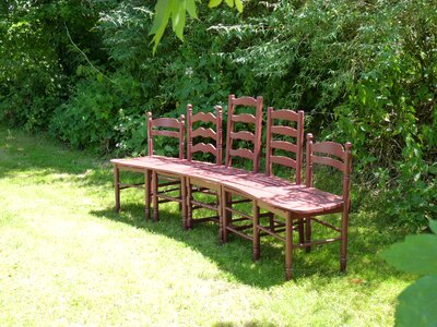 Bench park nature